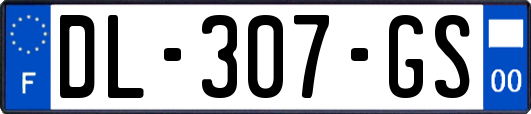 DL-307-GS