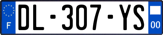 DL-307-YS