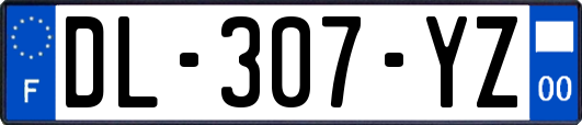 DL-307-YZ