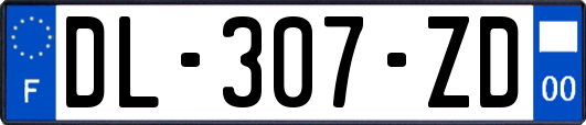 DL-307-ZD