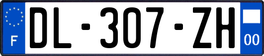 DL-307-ZH