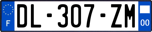 DL-307-ZM