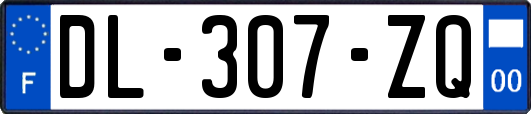 DL-307-ZQ