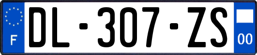 DL-307-ZS