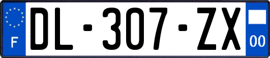 DL-307-ZX