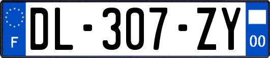 DL-307-ZY