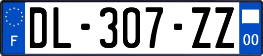 DL-307-ZZ