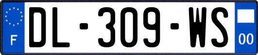 DL-309-WS