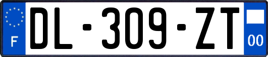 DL-309-ZT