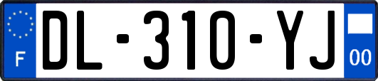 DL-310-YJ