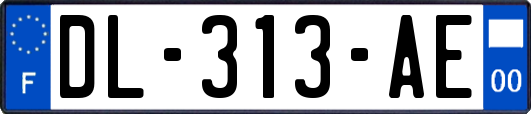 DL-313-AE