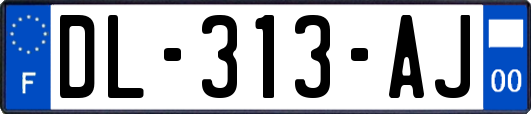 DL-313-AJ