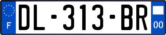 DL-313-BR