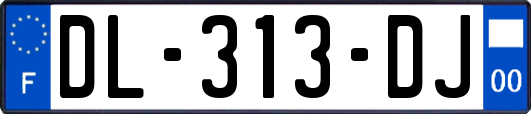 DL-313-DJ