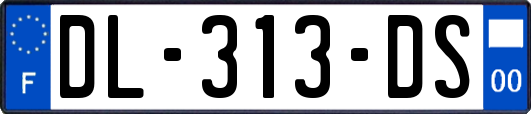 DL-313-DS
