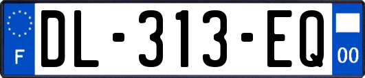 DL-313-EQ