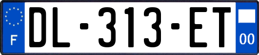 DL-313-ET