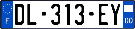 DL-313-EY