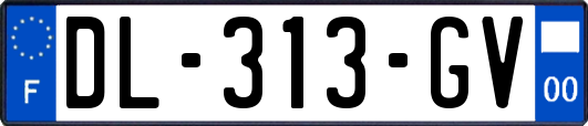 DL-313-GV