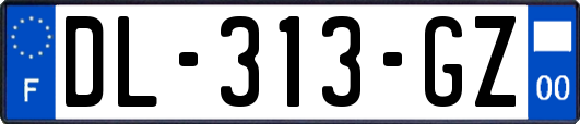 DL-313-GZ