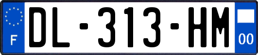 DL-313-HM