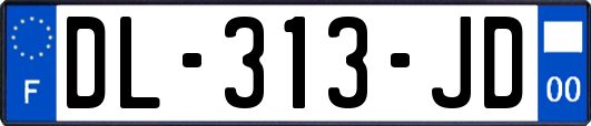 DL-313-JD