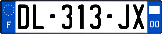 DL-313-JX