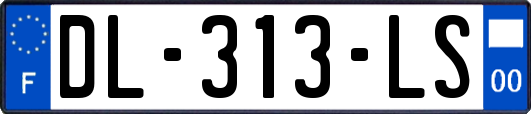 DL-313-LS