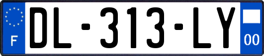 DL-313-LY