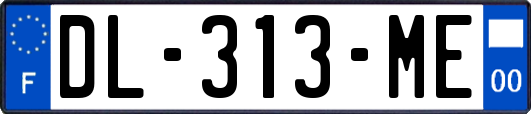 DL-313-ME