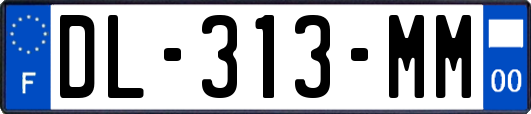 DL-313-MM