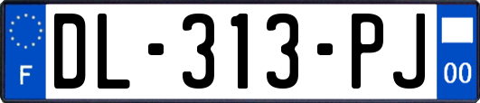 DL-313-PJ