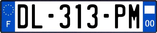 DL-313-PM