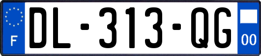 DL-313-QG