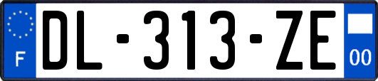 DL-313-ZE