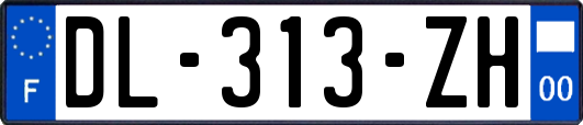 DL-313-ZH