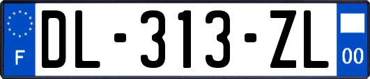 DL-313-ZL