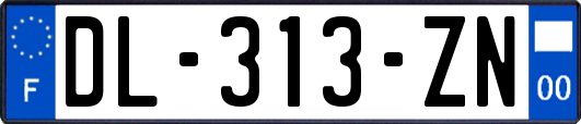 DL-313-ZN