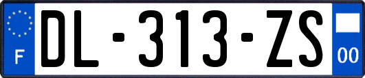 DL-313-ZS