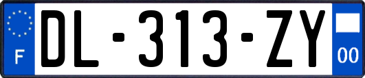 DL-313-ZY