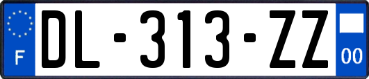 DL-313-ZZ