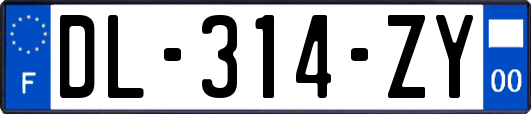 DL-314-ZY