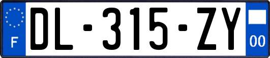 DL-315-ZY