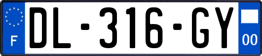 DL-316-GY