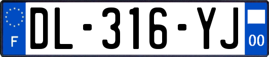DL-316-YJ