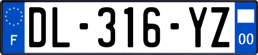 DL-316-YZ