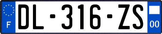 DL-316-ZS