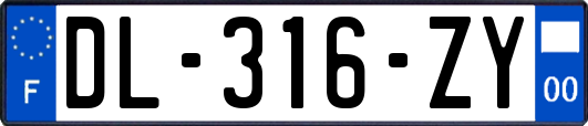 DL-316-ZY