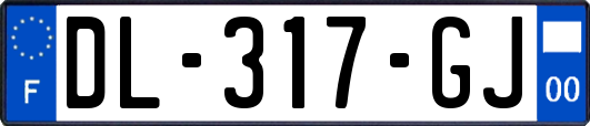 DL-317-GJ
