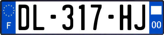 DL-317-HJ